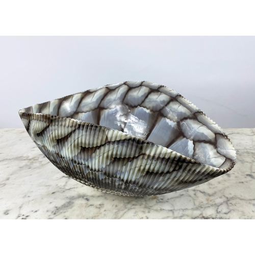 19 - LOUISE BRADLEY MURANO MOTHER OF PEARL VASES, two, a Murano 'seashell' ribbed glass centrepiece bowl ... 