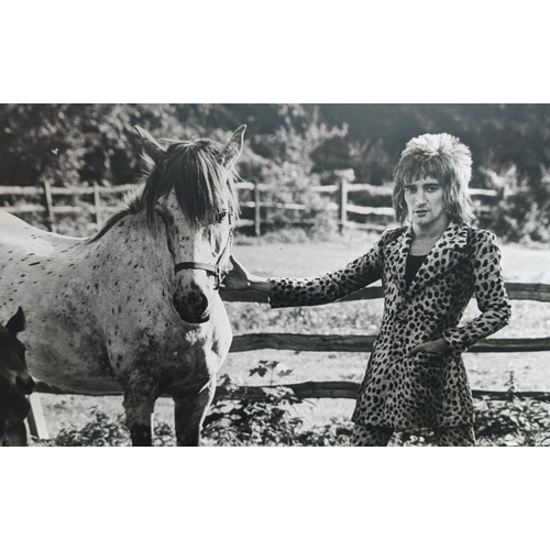 53 - TERRY O'NEILL (1939-2019), 'Rod Stewart 1971', signed, 34cm x 48cm, framed.