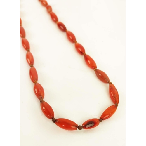 42 - A RED CORAL DOUBLE STRAND NECKLACE, 36cm long, a carnelian single strand bead necklace, 64cm long, p... 