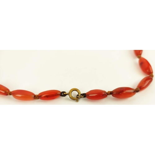 42 - A RED CORAL DOUBLE STRAND NECKLACE, 36cm long, a carnelian single strand bead necklace, 64cm long, p... 