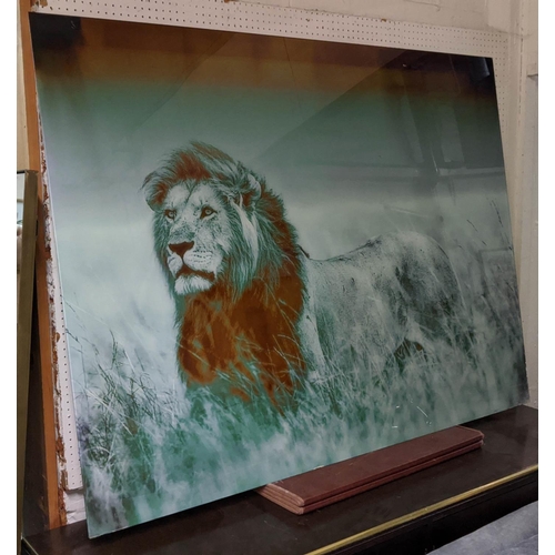 48 - CONTEMPORARY SCHOOL PHOTO PRINT, lion, print under glass, 160cm x 120cm.