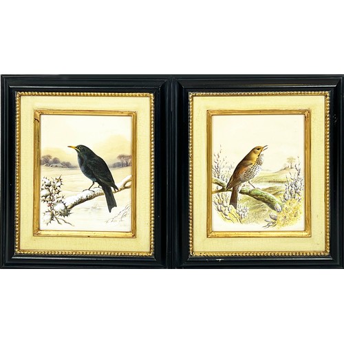 58 - HARRY BRIGHT (1846-1895), 'Bird Studies', a pair of watercolours, signed and dated 1889, 28cm x 22cm... 