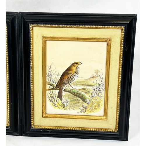 58 - HARRY BRIGHT (1846-1895), 'Bird Studies', a pair of watercolours, signed and dated 1889, 28cm x 22cm... 