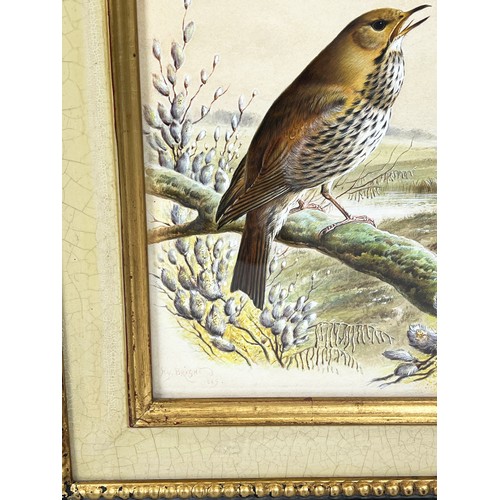 58 - HARRY BRIGHT (1846-1895), 'Bird Studies', a pair of watercolours, signed and dated 1889, 28cm x 22cm... 