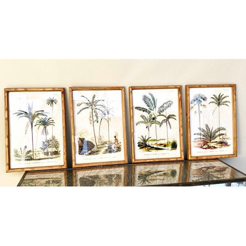 334 - BOTANICAL PRINTS, set of four, framed and glazed, 50cm x 35cm each. (4)