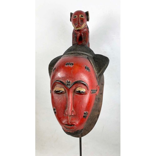 37 - BAOULE CASQUETTE MASK, from Ivory Coast. 130cm H