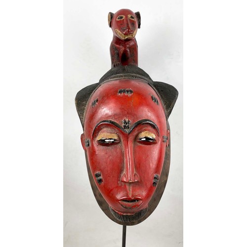 37 - BAOULE CASQUETTE MASK, from Ivory Coast. 130cm H