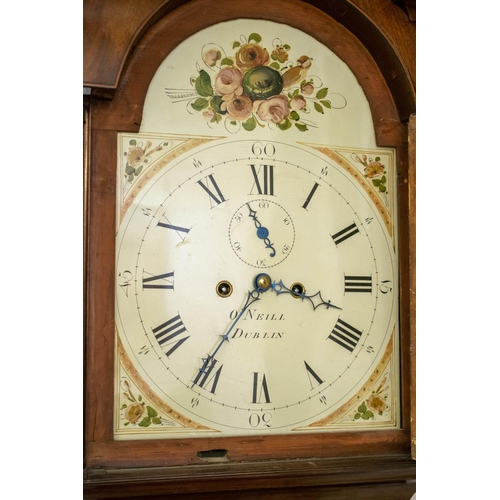 137 - LONGCASE CLOCK, 228cm H x 53cm W x 25cm D, first quarter 19th century Irish mahogany with painted fa... 