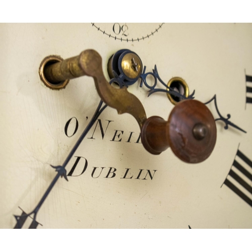 137 - LONGCASE CLOCK, 228cm H x 53cm W x 25cm D, first quarter 19th century Irish mahogany with painted fa... 