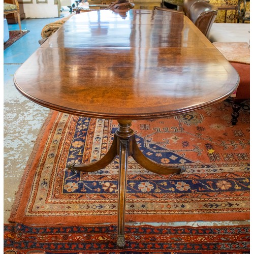 136 - TWIN PEDESTAL DINING TABLE, Regency style burr walnut with extra leaf, brass clips and castors, 76cm... 