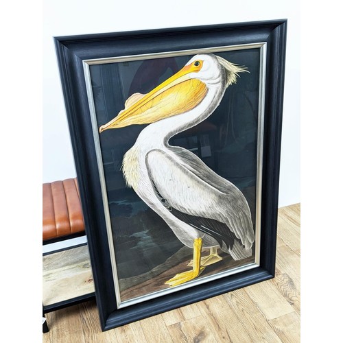 415 - AFTER AUBUDON PRINT, pelican, with relief detail, framed, 106cm x 75.5cm.