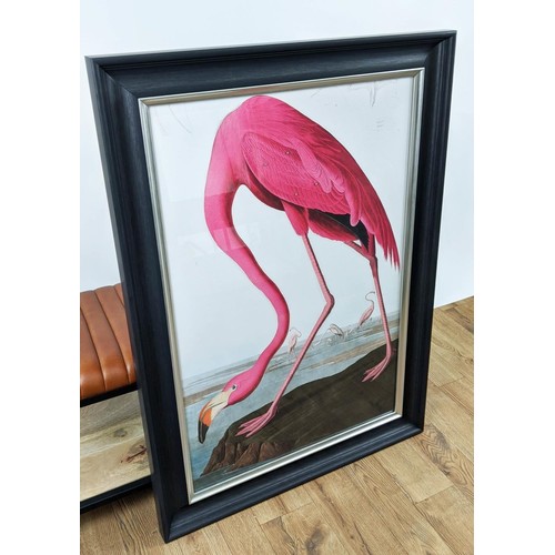 416 - AFTER AUBUDON PRINT, flamingo, with relief detail, framed, 106cm x 75.5cm.