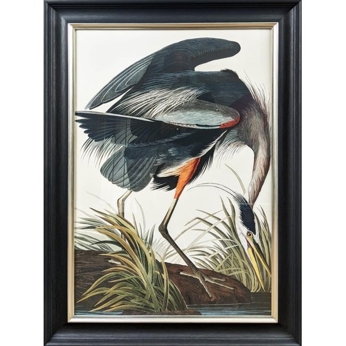 417 - AFTER AUBUDON PRINT, herron, with relief detail, framed, 106cm x 75.5cm.