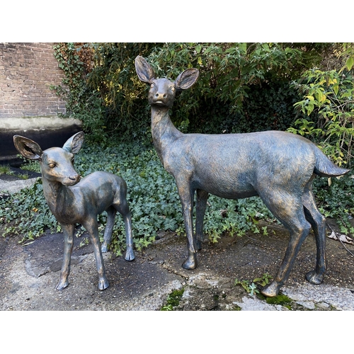 449 - CONTEMPORARY SCHOOL SCULPTURAL STUDIES, a set of two, depicting a Doe and Fawn, resin, in a bronzed ... 