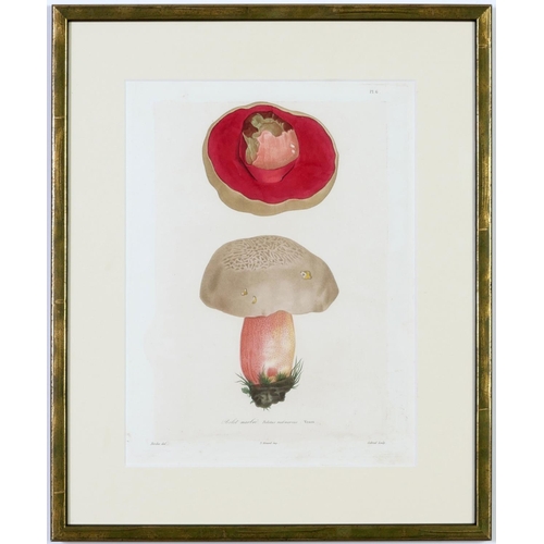 512 - JOSEPH ROQUES, Mushrooms, a rare set six engravings with hand colouring from 1864, Victor Masson et ... 