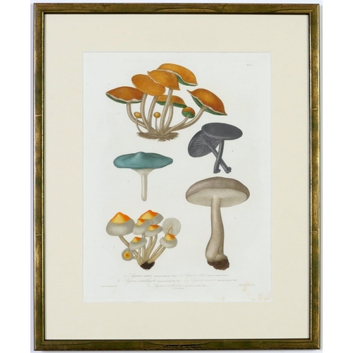 512 - JOSEPH ROQUES, Mushrooms, a rare set six engravings with hand colouring from 1864, Victor Masson et ... 