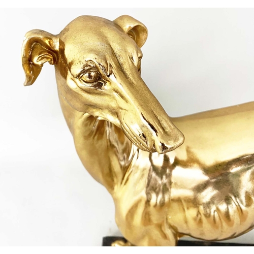 434 - SCULPTURAL WHIPPET, gilt resin, raised on a black plinth, 64cm x 43cm x 15cm.