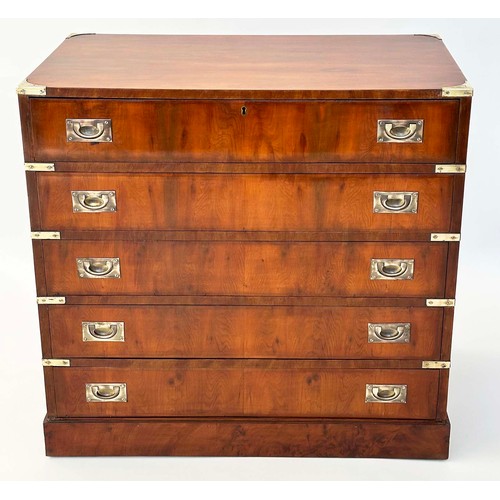 146 - CAMPAIGN STYLE CHEST, yewwood and brass bound with five long graduated drawers, 76cm W x 84cm H x 43... 