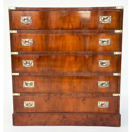 146 - CAMPAIGN STYLE CHEST, yewwood and brass bound with five long graduated drawers, 76cm W x 84cm H x 43... 