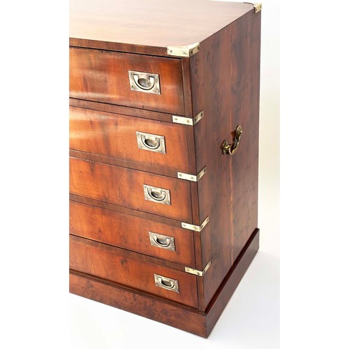 146 - CAMPAIGN STYLE CHEST, yewwood and brass bound with five long graduated drawers, 76cm W x 84cm H x 43... 