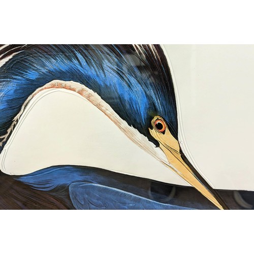 392 - AFTER AUBUDON PRINT, 'Louisiana heron', with relief detail, framed, 105.5cm x 75.5cm.