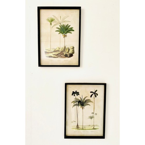 449 - BOTANICAL PRINTS, a pair, ebonised frames, 56cm H x 41cm W. (2)