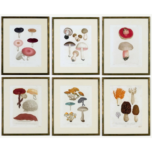 76 - JOSEPH ROQUES, Mushrooms, a rare set six engravings with hand colouring from 1864, Victor Masson et ... 
