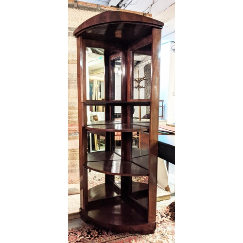 110 - CORNER DISPLAY CABINET, 197cm H x 88cm, mahogany with mirrored back panels.