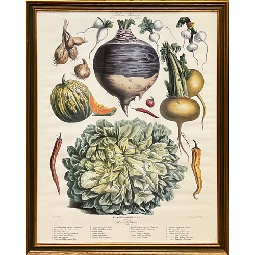 72 - BOTANICAL 'VEGETABLE' PRINTS, a set of three, 68cm x 54cm. (3)