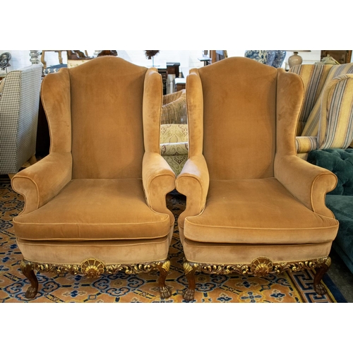 387 - WING ARMCHAIRS, 118cm H x 86cm, a pair, Georgian style in brown velvet on carved gilt heightened leg... 