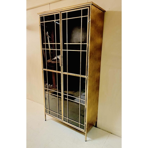 408 - DISPLAY CABINET, 167cm high, 83cm wide, 38cm deep, Regency style, gilt metal frame with two glazed d... 