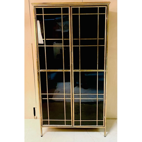 408 - DISPLAY CABINET, 167cm high, 83cm wide, 38cm deep, Regency style, gilt metal frame with two glazed d... 