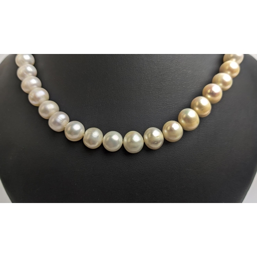 48 - A SINGLE STRAND FRESHWATER PEARL NECKLACE, fitted with 41 round pearls, 11mm diameter approx, 46cm /... 