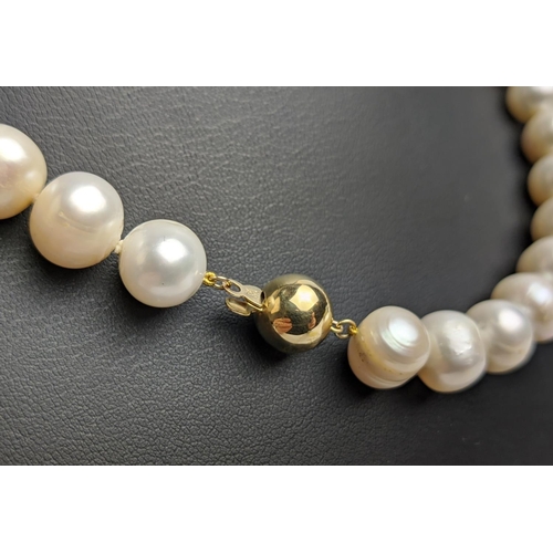 48 - A SINGLE STRAND FRESHWATER PEARL NECKLACE, fitted with 41 round pearls, 11mm diameter approx, 46cm /... 