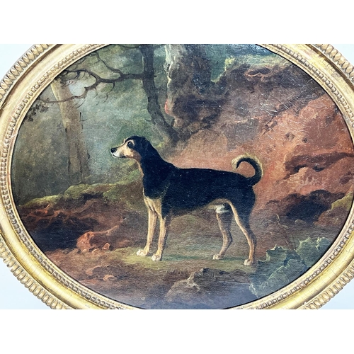 71 - ATTRIBUTED TO SAWREY GILPEN (British 1733-1807), 'Study of a hound in a landscape', oil on canvas, V... 