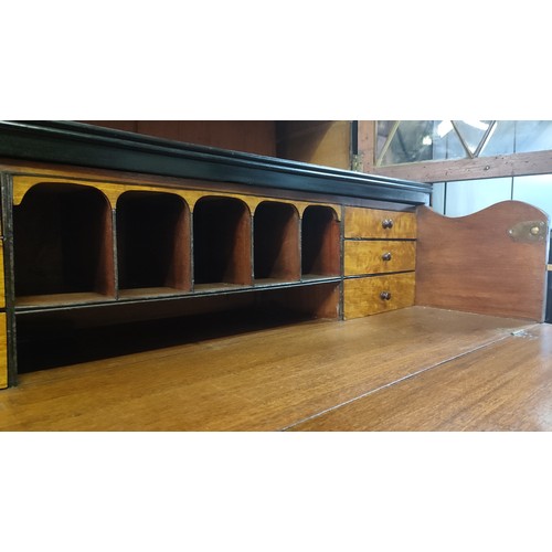 330A - EARLY 19TH CENTURY EBONISED SECRETAIRE BOOKCASE, blazed doors to upper section, the secretaire enclo... 