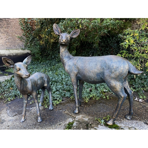 359 - CONTEMPORARY SCHOOL SCULPTURAL STUDIES, a set of two, depicting a Doe and Fawn, resin, in a bronzed ... 