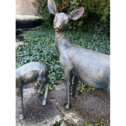 359 - CONTEMPORARY SCHOOL SCULPTURAL STUDIES, a set of two, depicting a Doe and Fawn, resin, in a bronzed ... 