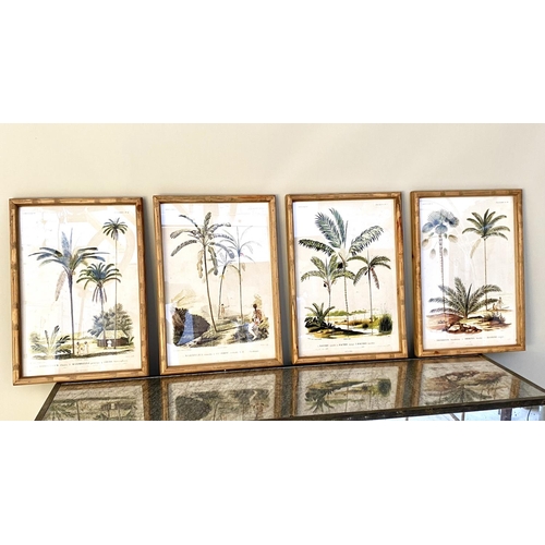 385 - BOTANICAL PRINTS, set of four, framed, 50cm x 35cm each. (4)