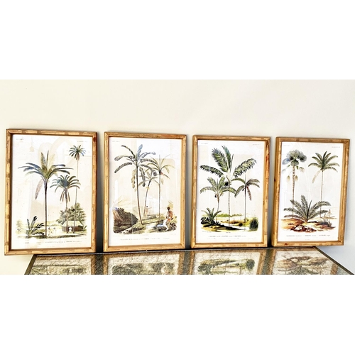 385 - BOTANICAL PRINTS, set of four, framed, 50cm x 35cm each. (4)