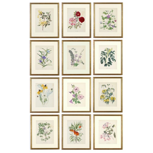 48 - JOHN NASH (brother of Paul Nash), a set of 12 English flowers, botanical lithographs, 1948, printed ... 