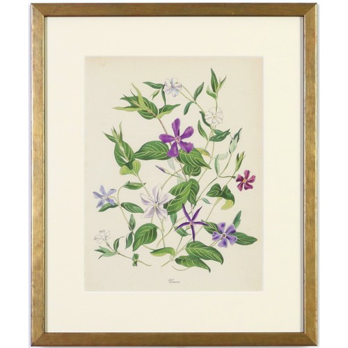 48 - JOHN NASH (brother of Paul Nash), a set of 12 English flowers, botanical lithographs, 1948, printed ... 