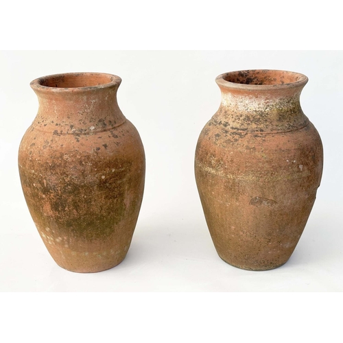 117 - TERRACOTTA URNS, a pair, vintage weathered terracotta of vase form, 53cm H. (2)