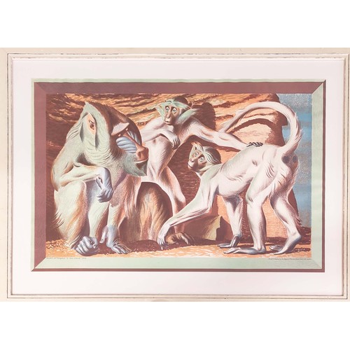 167 - HANS FEISBUSCH (1898-1998), 'Mandrill and Mangabeys', lithograph, 63cm x 84cm, framed.