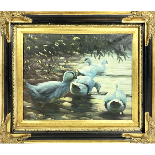 42 - MANNER OF ALEXANDER KOESTER, 'Study of Ducks', oil on canvas, 39cm x 50cm, framed.