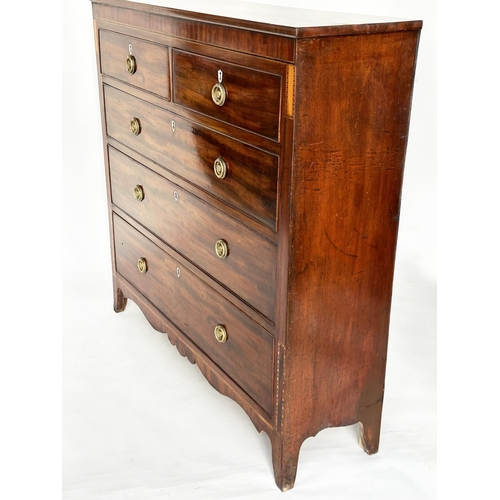 103 - SCOTTISH HALL CHEST, Regency flame mahogany and satinwood inlaid of adapted shallow proportions with... 