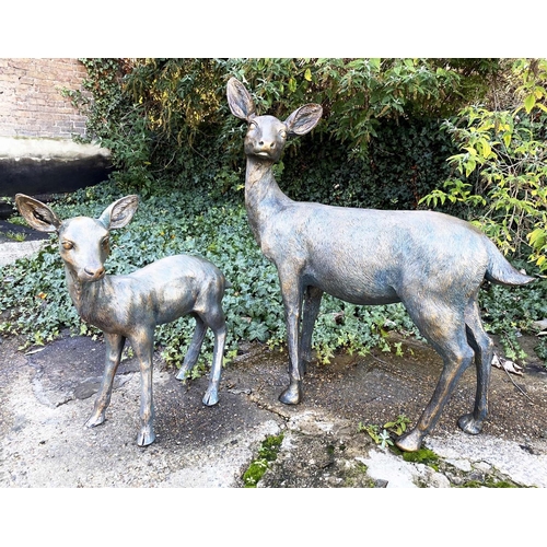 393 - CONTEMPORARY SCHOOL SCULPTURAL STUDIES, a set of two, depicting a Doe and Fawn, resin, in a bronzed ... 