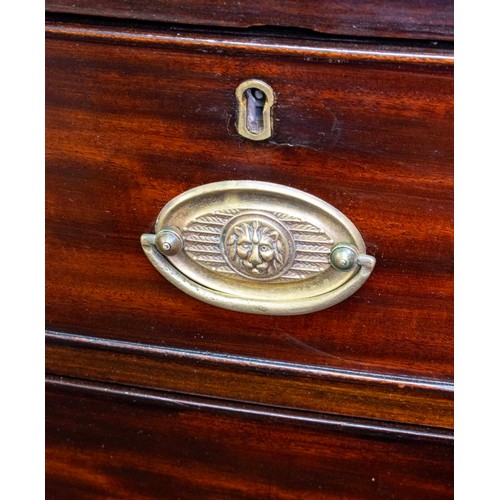 205 - BOWFRONT CHEST, 102cm H x 102cm W x 51cm D, 19th century mahogany  of five drawers.