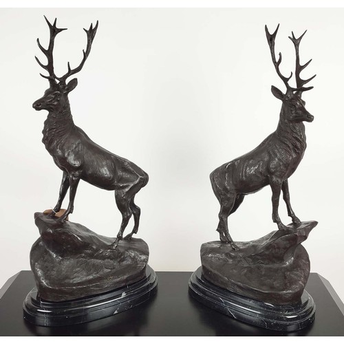 508 - AFTER J MOIGNIEZ STAGS, a pair, raised on black marble bases, 77cm H x 38cm W x 20cm D.