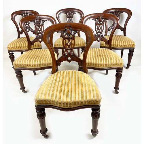 184 - DINING CHAIRS, a set of six, Victorian mahogany balloon backs with ornate interlaced carved and pier... 